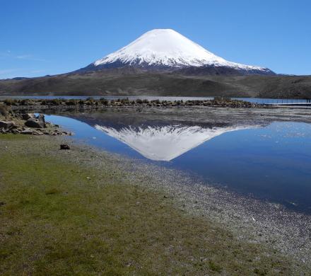 Viaje a Arica - Putre - Parque Nacional Lauca - Lago Chungará - Arica. (2 días/1 noche)