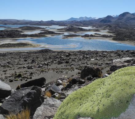 Putre - National Park Lauca - Lake Chungara - Putre (1 day)