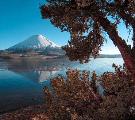 Viaje desde el Desierto de Atacama - Parque Nacionales - Altiplano Chileno. (8 días/7 noches)