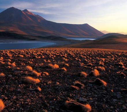 Journey and Tour Atacama, Cejar Lagoon - Highland Lagoons Miscanti and Miñiques - Tatio Geyser (4 days/ 3 nights)