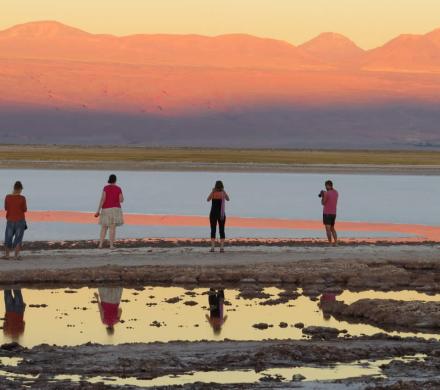 Viaje y Tours Atacama, Laguna Cejar - Lagunas altiplánicas Miscanti y Miñiques - Geyser del Tatio (4 días/3 noches)