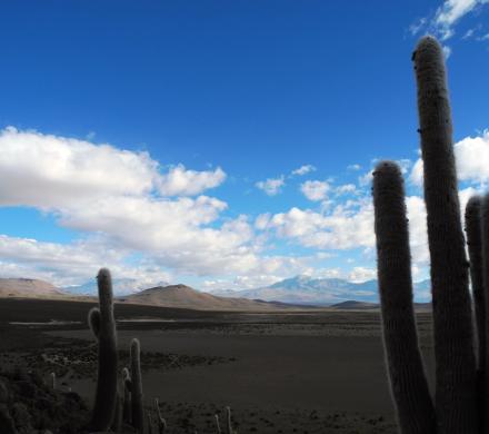 Viaje y Excursión a San Pedro de Atacama, Valle de la Luna - Lagunas Altiplánicas - Geyser (5 días/4 noches)