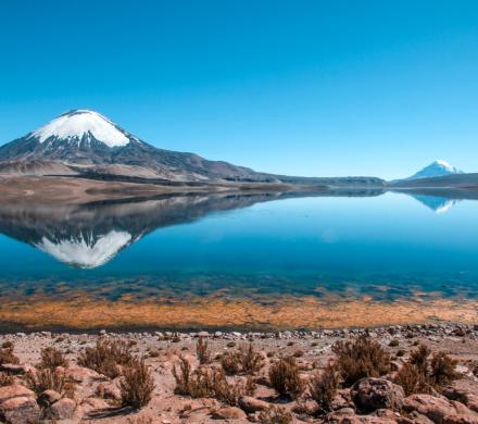 Viaje a Arica - Putre - Lago Chungará - Parque Nacional Lauca - Salar de Surire - Arica. (3 días/2 noches)