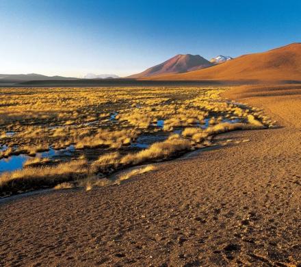 Tours Salar de Tara, Atacama, Monjes de la Pacana, Lagunas Altiplánicas, Valle de la Luna Norte de Chile (5 dí­as/4 noches)