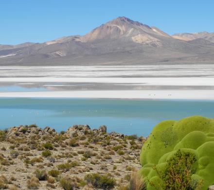 Journey to Putre - Vicuña National Reserve - Salt Lake Surire - Colchane - Iquique (2 days/ 1 night)