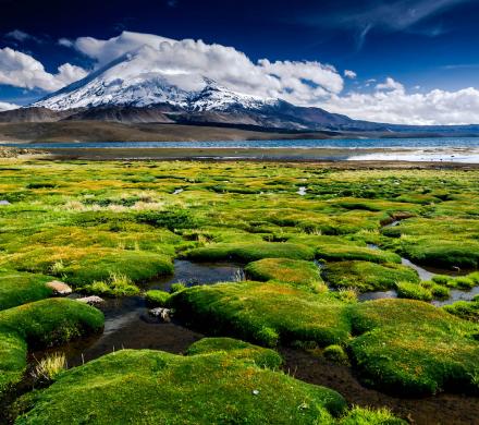 Journey and Tour Salt Lakes, Lakes, Desert, Volcanoes, National Parks, National Reserves of Chile (8 days/ 7 nights)