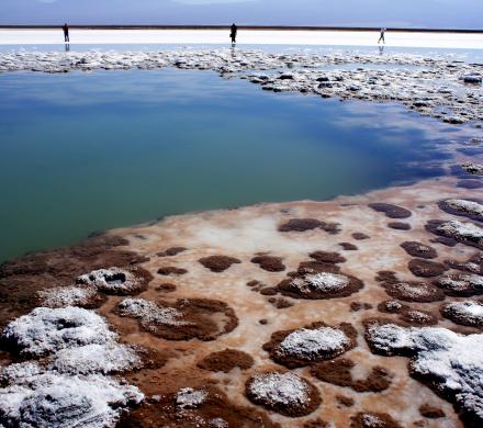 Journey and Excursion to San Pedro de Atacama, Moon Valley - Highland Lagoons - Geyser (5 days/ 4 nights)