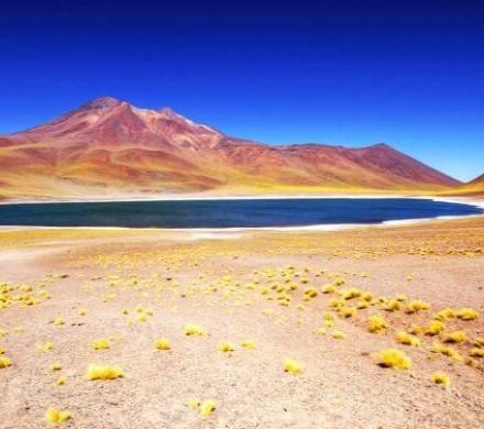 Viaje a San Pedro de Atacama - Valle de la Luna - Geyser del Tatio (3 dí­as/2 noches)