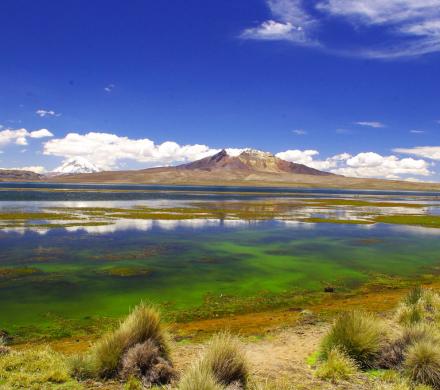 Journey and Tour Salt Lakes, Lakes, Desert, Volcanoes, National Parks, National Reserves of Chile (8 days/ 7 nights)