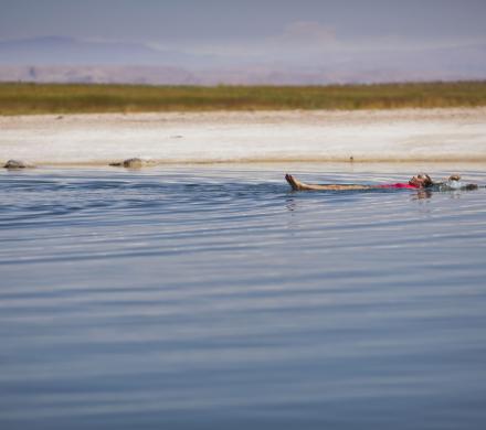 Tourism in the Atacama, Archaeological Tour, Moon Valley, Cejar Lagoon, Highland Lagoons, Tatio Geyser (6 days/ 5 nights)