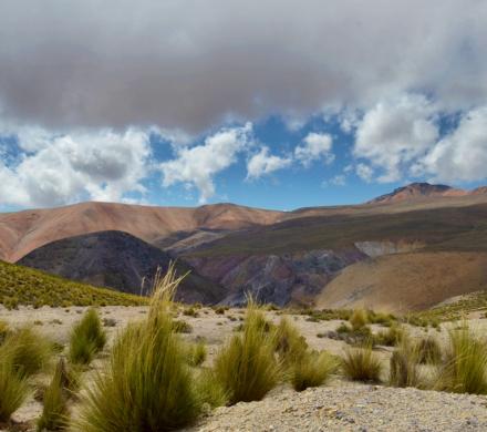 Journey to Arica - Andean Villages - Putre - National Park Lauca - Salt Lake Surire - Colchane - Iquique (5 days/ 4 nights)