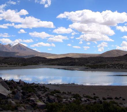 Viaje desde el Desierto de Atacama - Parque Nacionales - Altiplano Chileno. (8 días/7 noches)