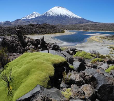 Viaje a Putre - Parque Nacional Lauca - Lago Chungará -  Putre. (1 dí­a)