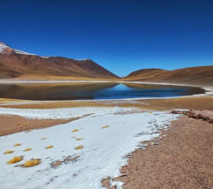 Journey and Tour Atacama, Cejar Lagoon - Highland Lagoons Miscanti and Miñiques - Tatio Geyser (4 days/ 3 nights)