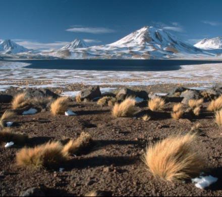 Tour y Excursión - San Pedro de Atacama - Petroglifos  de Hierbas Buenas - Valle del Arco Iris - Salar de Tara (5 dí­as/4 noches)