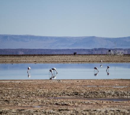 Tourism in the Atacama, Archaeological Tour, Moon Valley, Cejar Lagoon, Highland Lagoons, Tatio Geyser (6 days/ 5 nights)