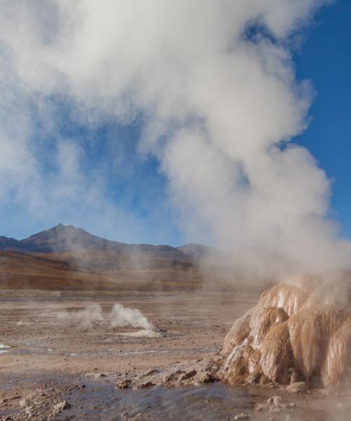 Viaje y Tours Atacama, Laguna Cejar - Lagunas altiplánicas Miscanti y Miñiques - Geyser del Tatio (4 días/3 noches)