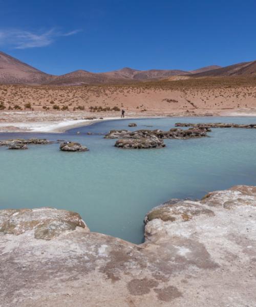 Journey to Arica - Putre - Lake Chungara - National Park Lauca - Salt Lake Surire - Arica (3 days/ 2 nights)