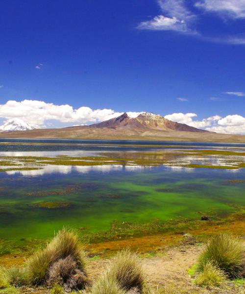 Journey to Putre - National Park Lauca - Lake Chungara - Arica (1 day)