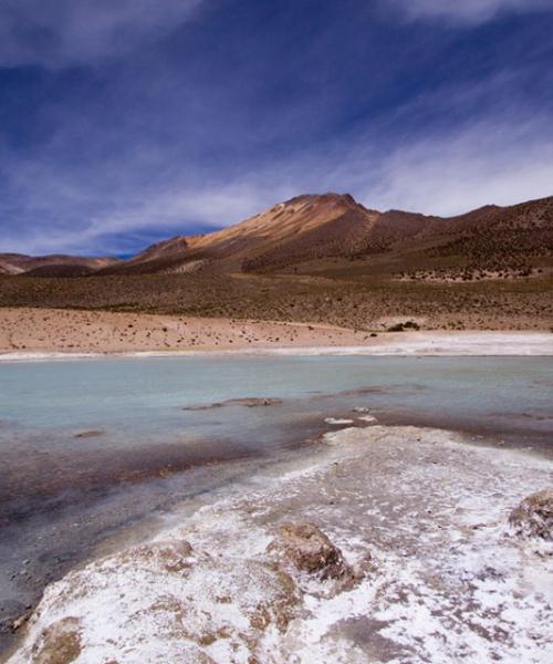 Viaje a Putre - Reserva las Vicuñas - Salar de Surire - Colchane - Iquique. (2 días/1 noche)