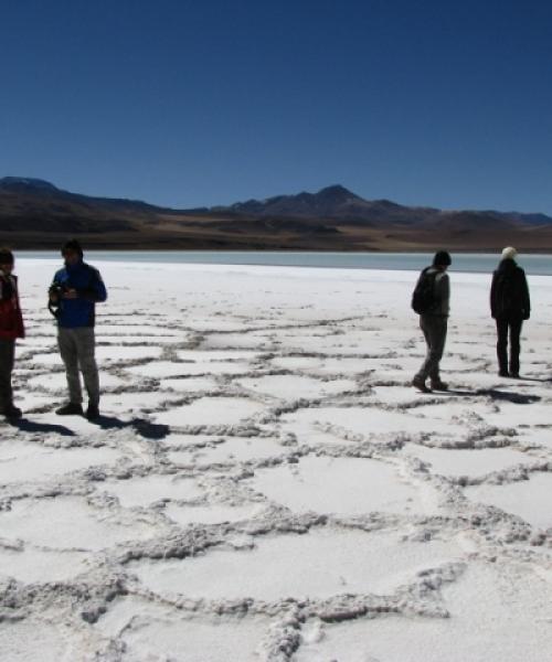 Tour y Excursión - San Pedro de Atacama - Petroglifos  de Hierbas Buenas - Valle del Arco Iris - Salar de Tara (5 dí­as/4 noches)