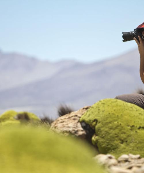 Viaje a Putre - Reserva Nacional las Vicuñas - Salar de Surire - Putre. (1 día)