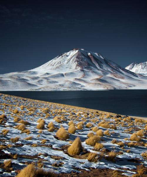 Viaje a Atacama, Lagunas Altiplánicas - Salar de Atacama - Arqueológico (4 dí­as/3 noches)