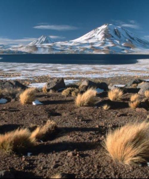 Tour and Excursion - San Pedro de Atacama - Petroglyphs of Hierbas Buenas - Rainbow Valley - Salt Lake of Tara (5 days/ 4 nights)