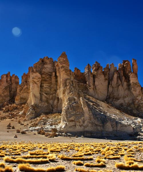 Viaje desde el Desierto de Atacama - Parque Nacionales - Altiplano Chileno. (8 días/7 noches)