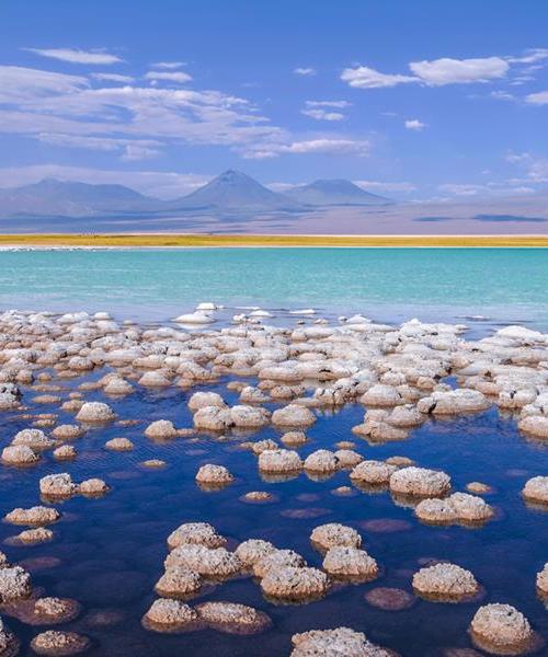 Journey and Tour Salt Lakes, Lakes, Desert, Volcanoes, National Parks, National Reserves of Chile (8 days/ 7 nights)