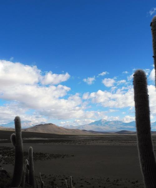 Journey to Arica - National Park Lauca - Salt Lake Surire - National Park Volcano Isluga - Colchane - Iquique (4 days/ 3 nights)