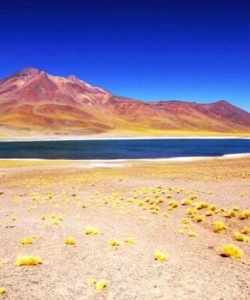 Journey to San Pedro de Atacama - Moon Valley - Tatio Geyser (3 days/ 2 nights)