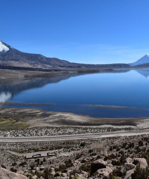 Journey to Putre - National Park Lauca - Lake Chungara - Arica (1 day)