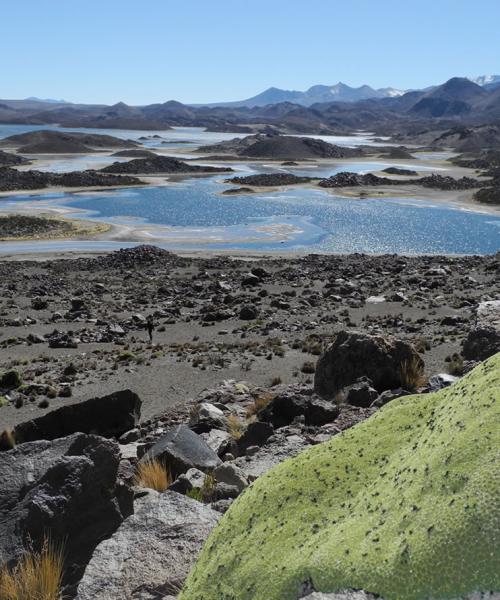 Putre - National Park Lauca - Lake Chungara - Putre (1 day)