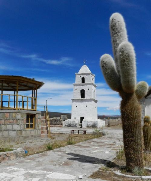 Journey to Arica - National Park Lauca - Salt Lake Surire - National Park Volcano Isluga - Colchane - Iquique (4 days/ 3 nights)