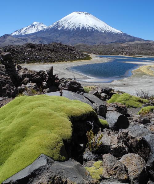 Journey and Tour Full Day, Arica - National Park Lauca - Arica