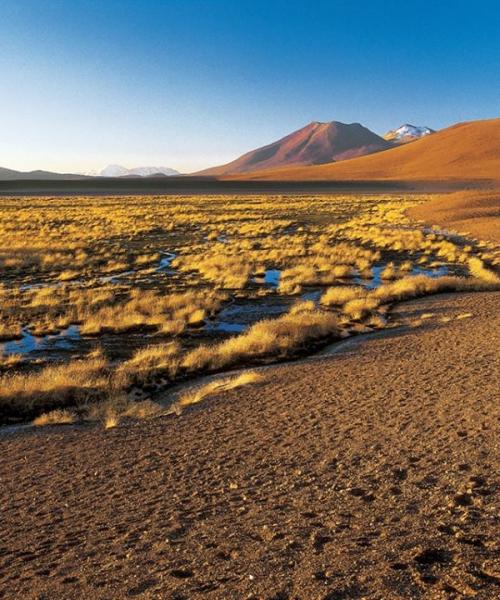 Tours Salar de Tara, Atacama, Monjes de la Pacana, Lagunas Altiplánicas, Valle de la Luna Norte de Chile (5 dí­as/4 noches)