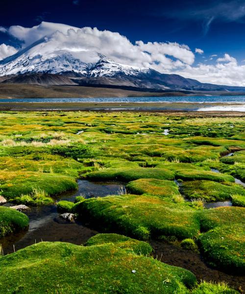 Journey and Tour Salt Lakes, Lakes, Desert, Volcanoes, National Parks, National Reserves of Chile (8 days/ 7 nights)