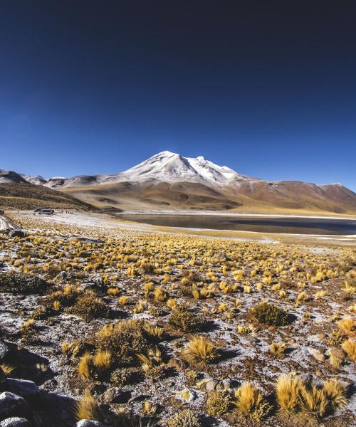 Tour y Excursión - San Pedro de Atacama - Petroglifos  de Hierbas Buenas - Valle del Arco Iris - Salar de Tara (5 dí­as/4 noches)