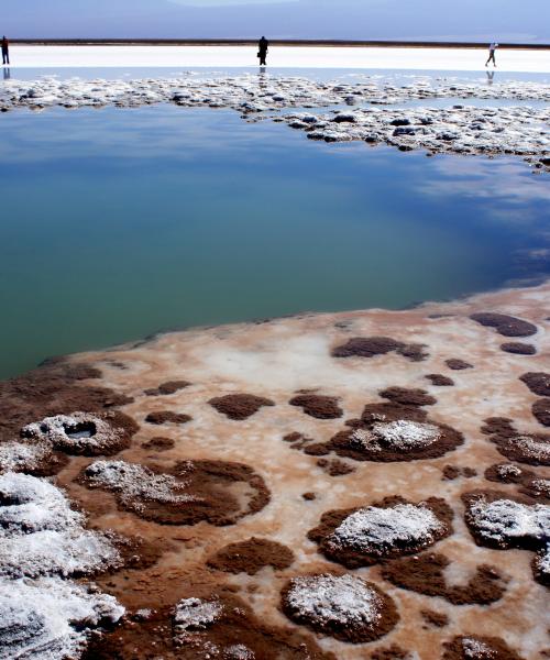 Journey and Excursion to San Pedro de Atacama, Moon Valley - Highland Lagoons - Geyser (5 days/ 4 nights)