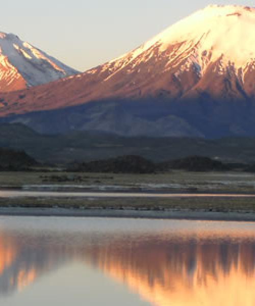 Reise nach Putre - Nationalpark Lauca - See Chungara - Arica (1 Tag)