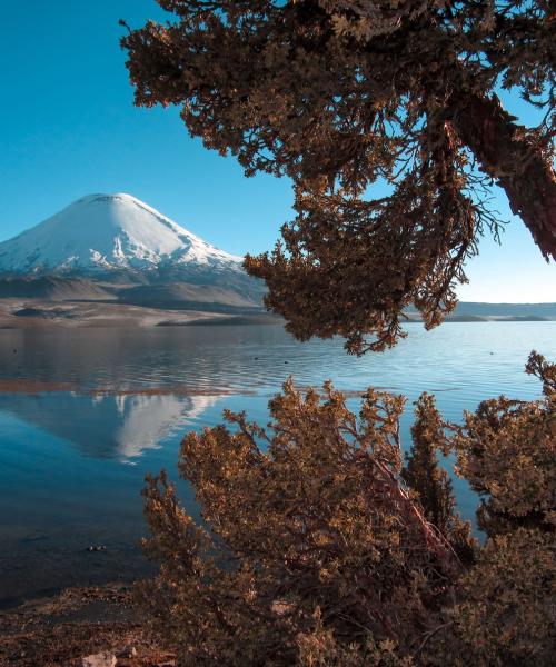 Viaje a Atacama, Lagunas Altiplánicas - Salar de Atacama - Arqueológico (4 dí­as/3 noches)